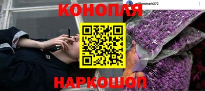 крисы Кунгур