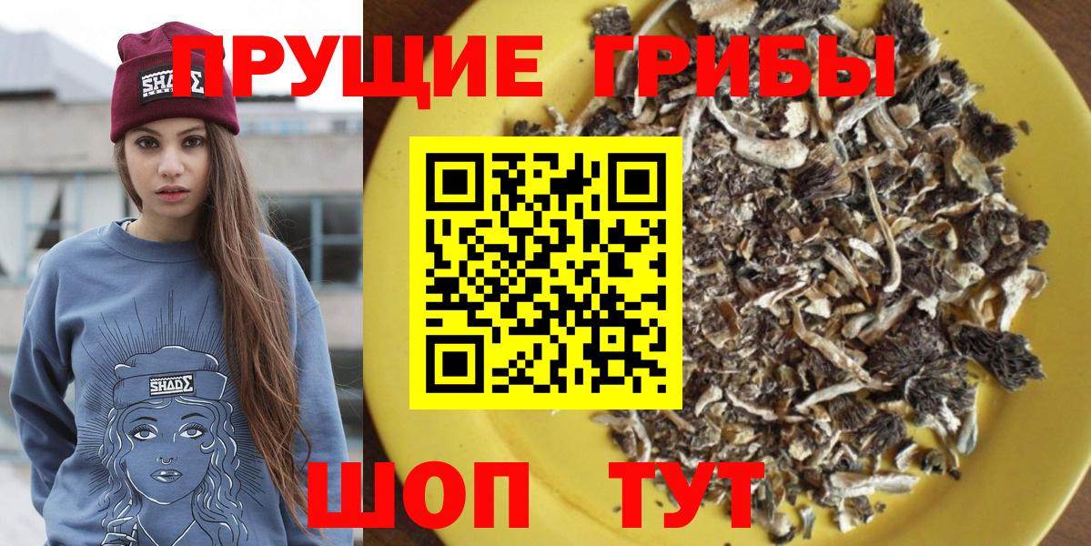 Галлюциногенные грибы Psilocybine cubensis  Вход с VPN  Спасск-Дальний  Галлюциногенные грибы мухоморы 